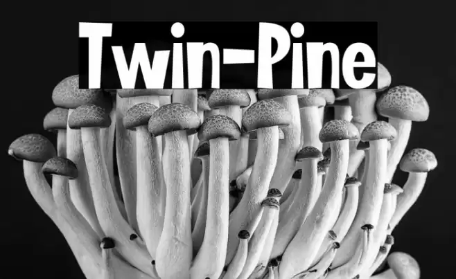 Twin-Pine Font examples