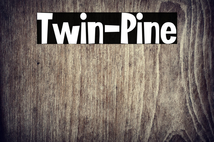 Twin-Pine Example 2