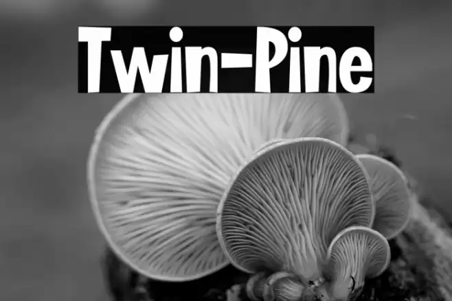 Twin-Pine Font examples