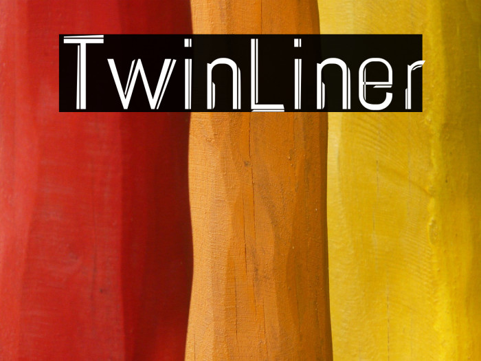 TwinLiner Example 1