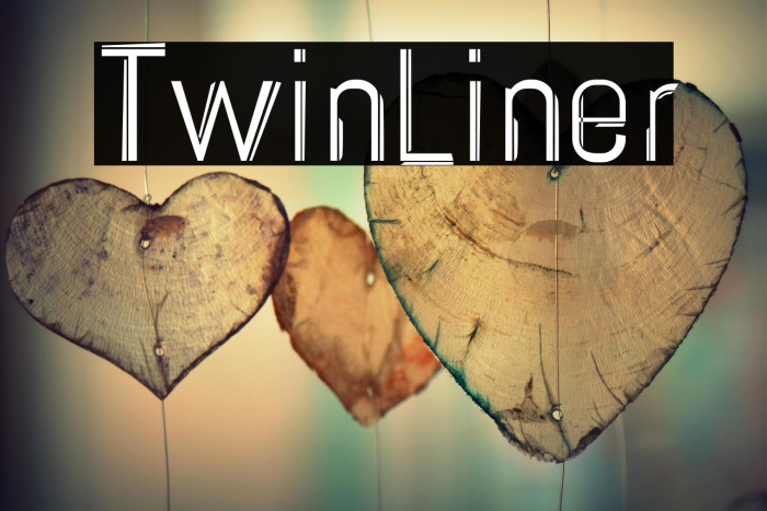 TwinLiner Example 2
