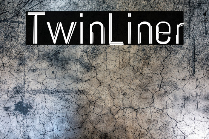 TwinLiner Example 3