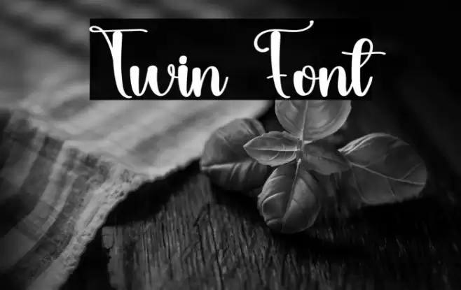 Twin Font examples