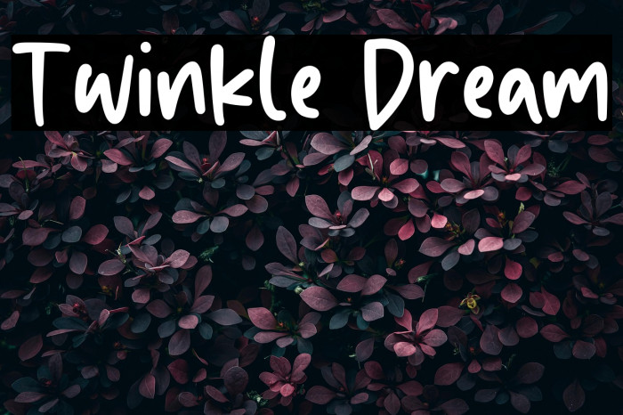 Twinkle Dream Example 1