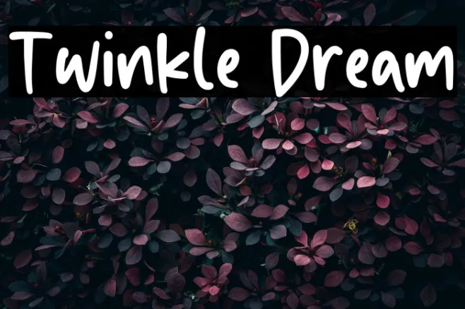 Twinkle Dream Example 1