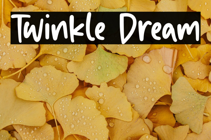 Twinkle Dream Example 1