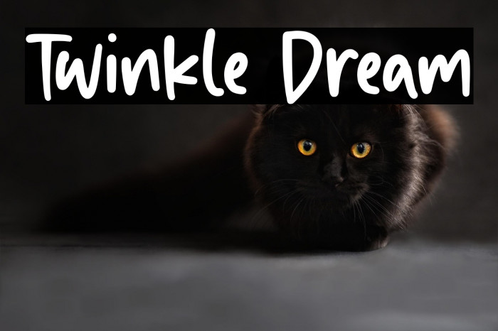 Twinkle Dream Example 2