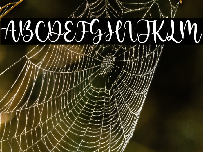 Twinkle Magic Demo Version Example 3