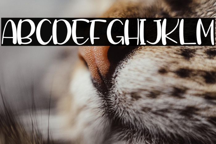 Twinkle Spark Example 2