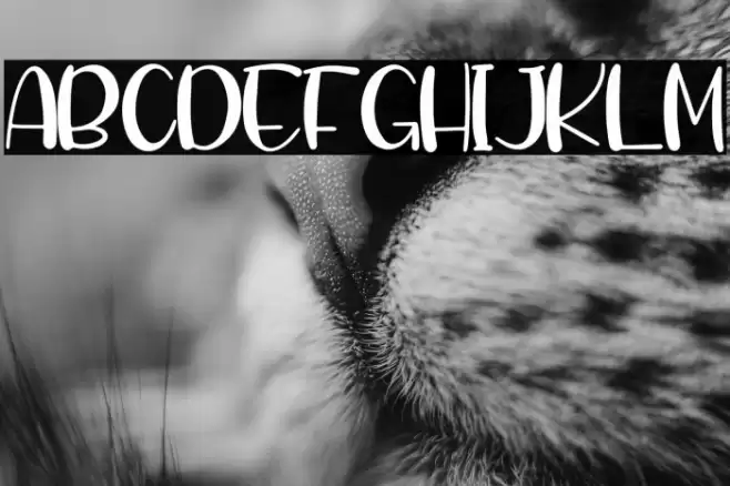 Twinkle Spark फ़ॉन्ट examples