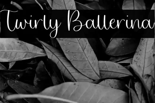 Twirly Ballerina Font examples