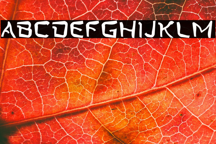 Twist Star Type Example 1