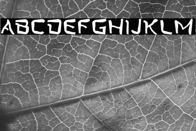 Twist Star Type Font examples