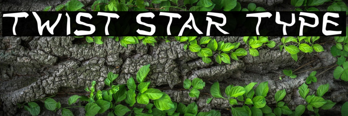 Twist Star Type Example 3