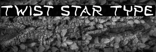 Twist Star Type Font examples