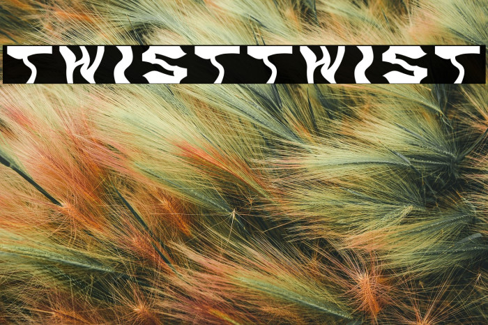 TwistTwist Example 1