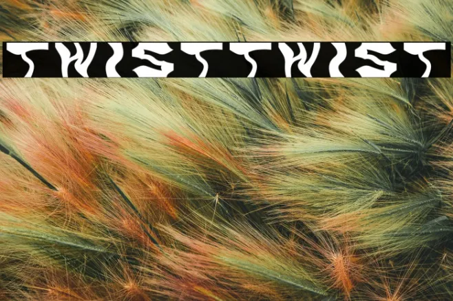 TwistTwist Example 1