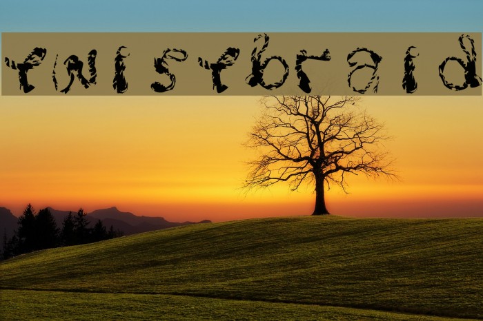 Twistbraid Example 1