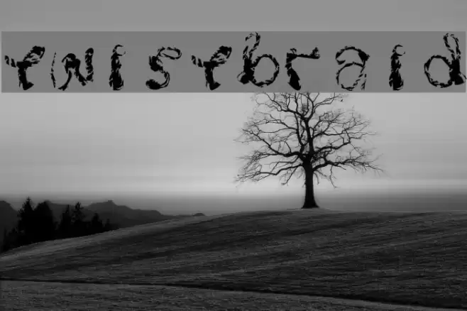 Twistbraid Font examples