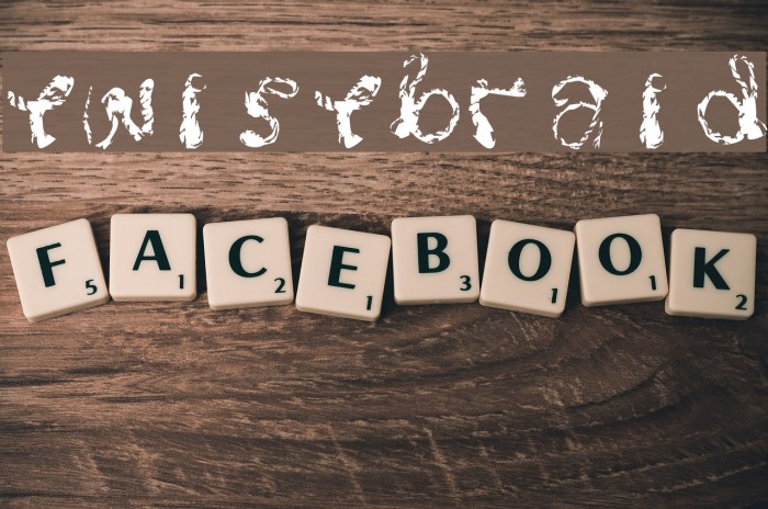 Twistbraid Example 2