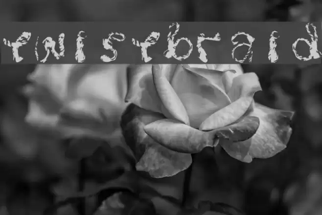 Twistbraid Font examples