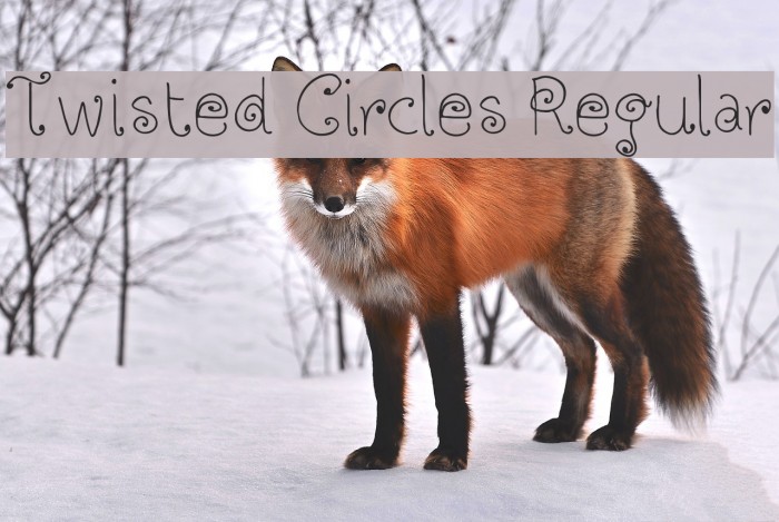 Twisted Circles Regular フォント examples