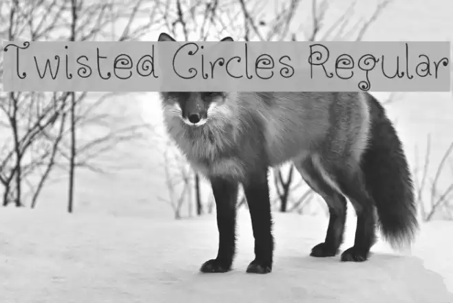 Twisted Circles Regular Font examples