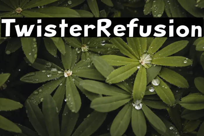 Twister Refusion Example 2