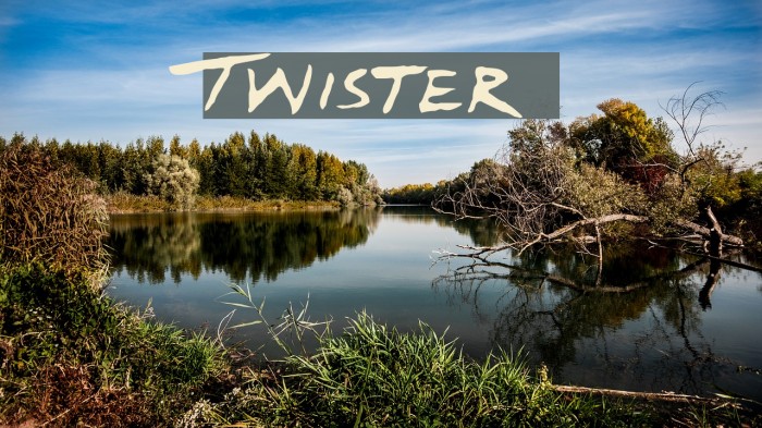 Twister Font examples