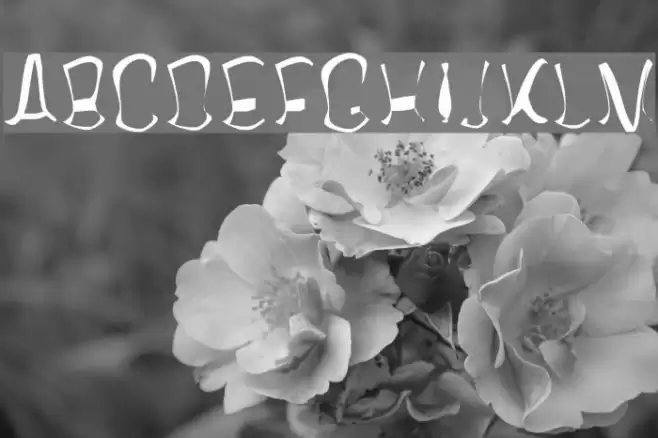 Twisterd Fuentes examples