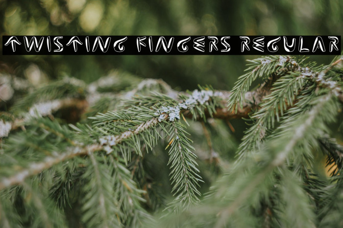 Twisting Fingers Regular Example 3