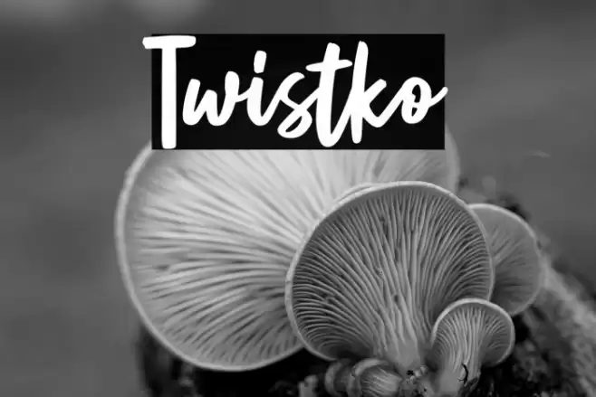 Twistko Font examples