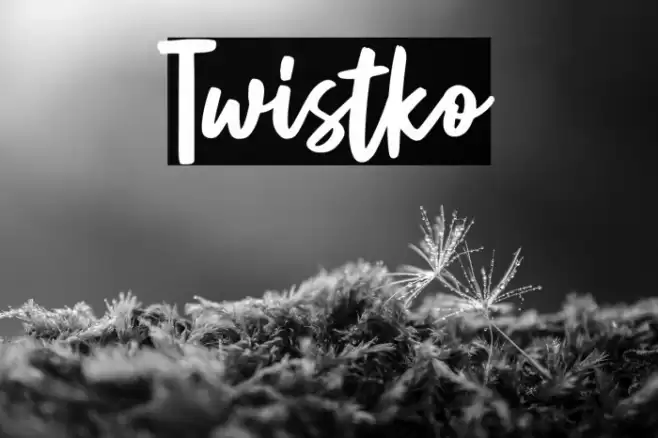 Twistko Font examples
