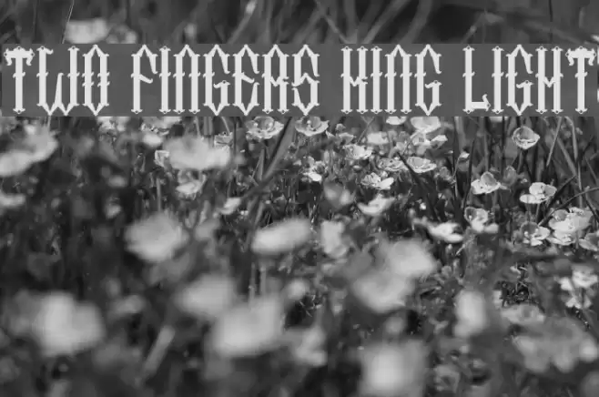 Two Fingers King Light Font examples