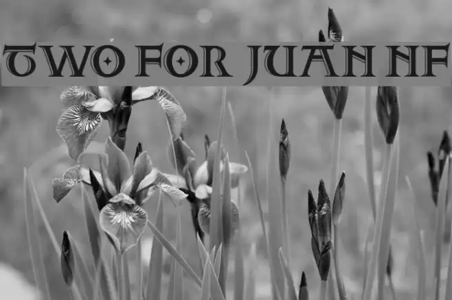 Two For Juan NF Font examples
