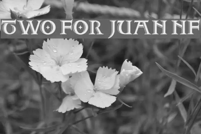 Two For Juan NF Font examples
