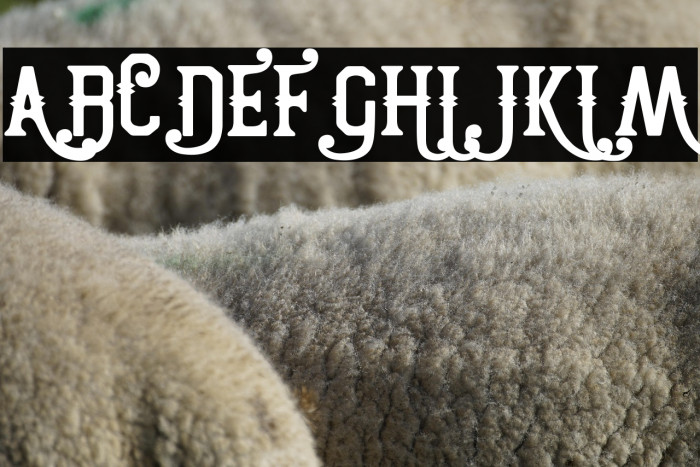 Two Peaks Curly Example 1