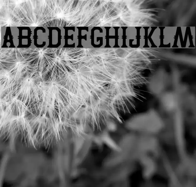 Two Peaks Font examples