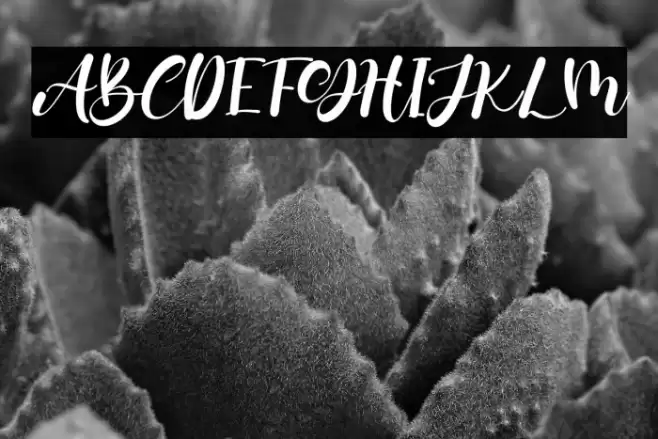 Two Queen Font examples