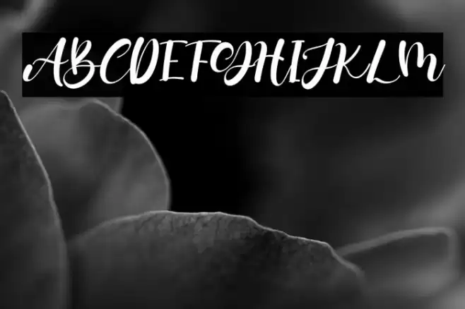 Two Queen Font examples