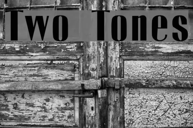 Two Tones Polices examples