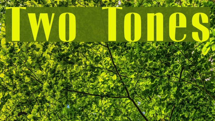 Two Tones Font examples