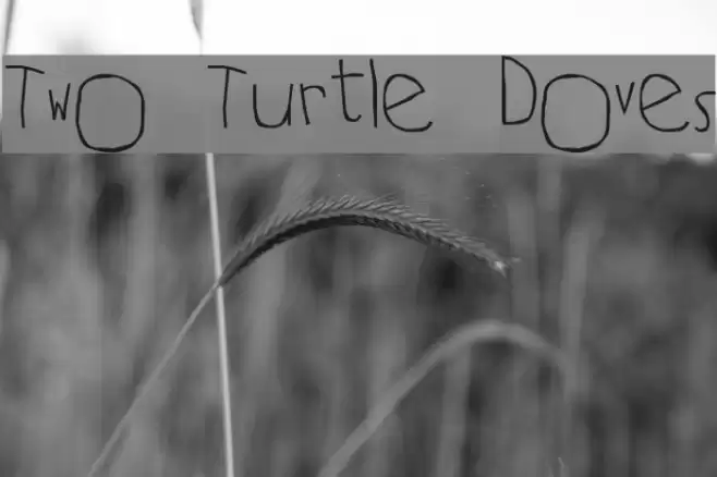 Two Turtle Doves Font examples