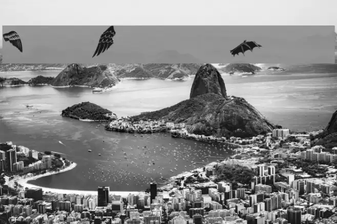 Two Wingy Dingy Font examples