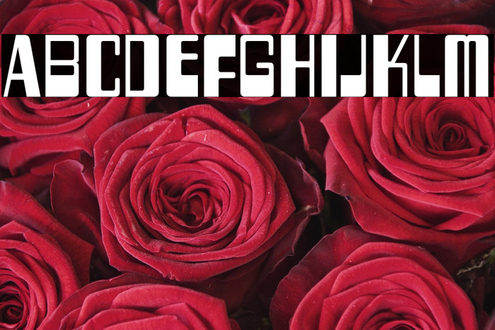 TwoFiftySixBytes-Regular Example 2