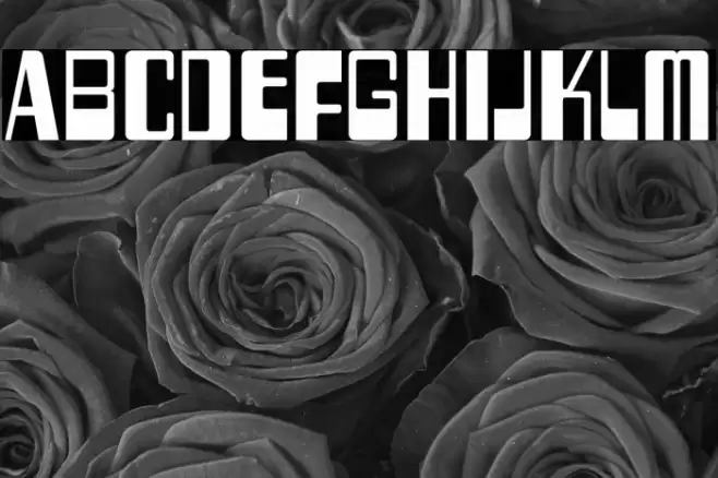 TwoFiftySixBytes-Regular Font examples