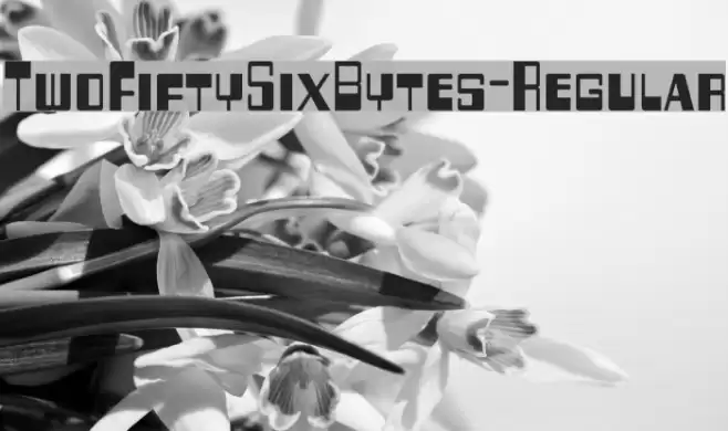 TwoFiftySixBytes-Regular フォント examples
