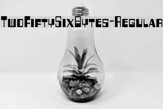TwoFiftySixBytes-Regular フォント examples
