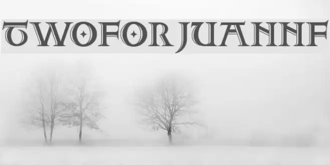 TwoForJuanNF Font examples