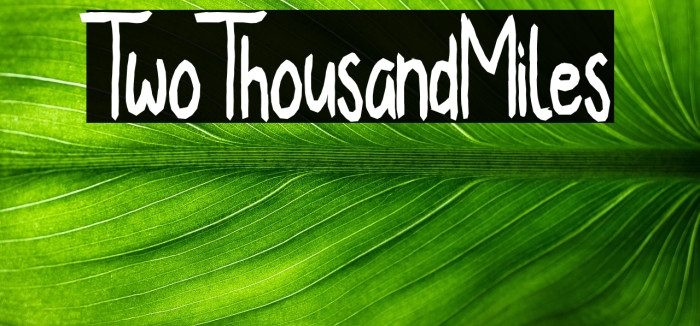 TwoThousandMiles Example 3